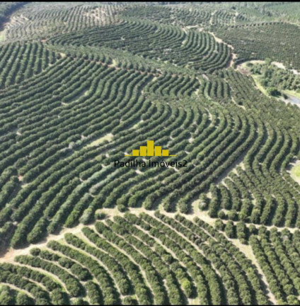 Imagem Fazenda à Venda, 170 m² em Rural - Angatuba Imagem Fazenda à Venda, 170 m² em Rural - Angatuba