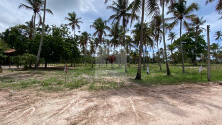 Imagem Terreno à Venda, 200 m² em Carneiros - Tamandaré