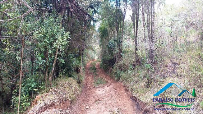 Imagem Terreno à Venda, 38 m² em Centro - Gonçalves Imagem Terreno à Venda, 38 m² em Centro - Gonçalves