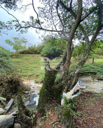 Imagem Imóvel com 3 Quartos à Venda, 629.200 m² em Nova Reta - Mendes