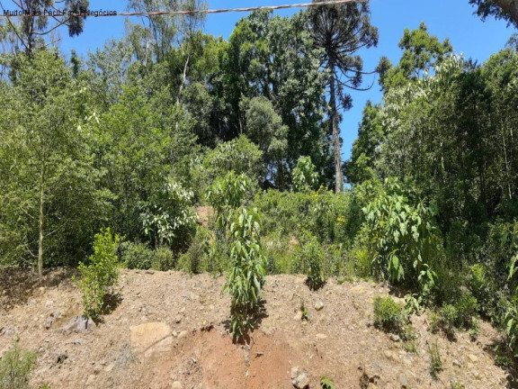 Imagem Terreno à Venda, 444 m² em Linha Imperial - Nova Petrópolis Imagem Terreno à Venda, 444 m² em Linha Imperial - Nova Petrópolis