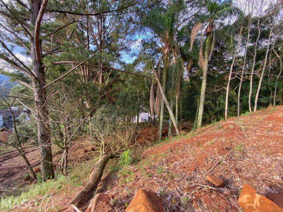 Imagem Terreno à Venda, 988 m² em Vale Das Colinas - Gramado Imagem Terreno à Venda, 988 m² em Vale Das Colinas - Gramado
