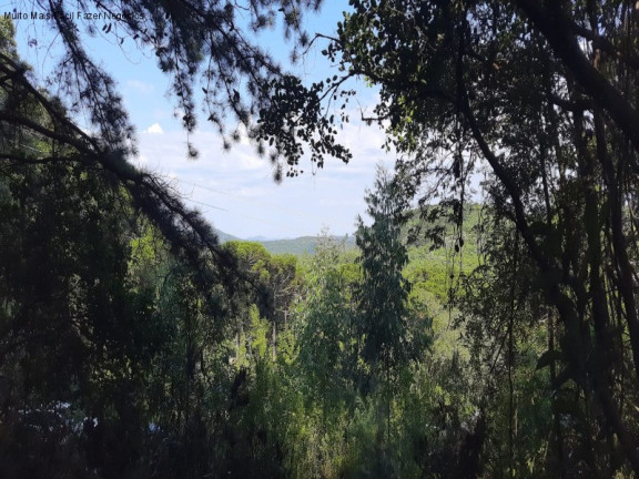 Imagem Terreno à Venda, em Lageana - Gramado Imagem Terreno à Venda, em Lageana - Gramado