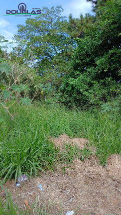 Imagem Terreno para Alugar, 550 m² em águas Claras - Viamão Imagem Terreno para Alugar, 550 m² em águas Claras - Viamão