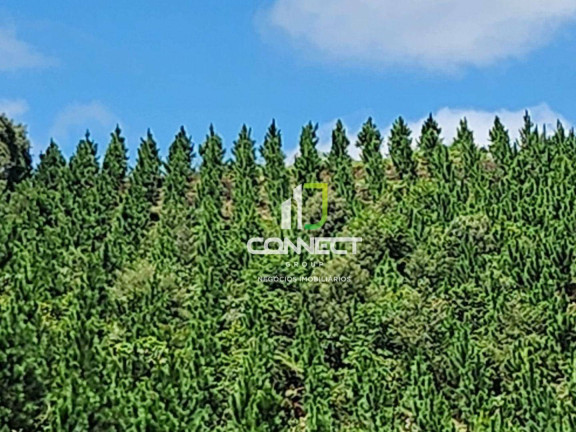 Imagem Fazenda à Venda, 4.477.000 m² em Zona Rural - Bocaiúva Do Sul