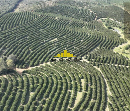 Imagem Fazenda à Venda, 170 m² em Rural - Angatuba Imagem Fazenda à Venda, 170 m² em Rural - Angatuba
