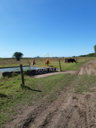 Imagem Fazenda à Venda, 277 m² em Quissamã Imagem Fazenda à Venda, 277 m² em Quissamã