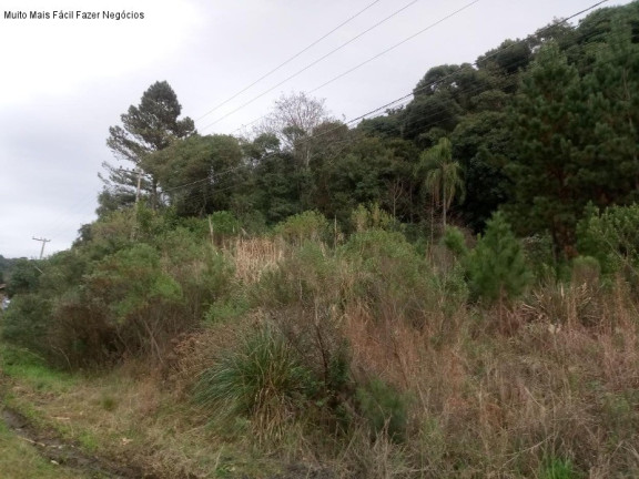 Imagem Terreno à Venda, 429 m² em Linha Imperial - Nova Petrópolis Imagem Terreno à Venda, 429 m² em Linha Imperial - Nova Petrópolis
