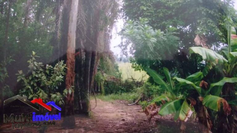 Imagem Chácara com 3 Quartos à Venda, 20.000 m² em Centro - Boituva Imagem Chácara com 3 Quartos à Venda, 20.000 m² em Centro - Boituva