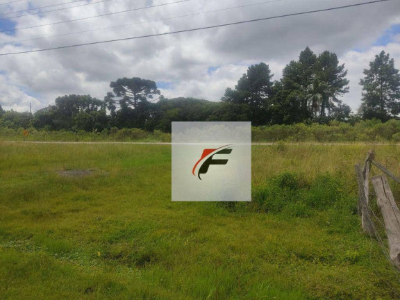 Imagem Terreno à Venda, 44.162 m² em Lapa - Mariental Imagem Terreno à Venda, 44.162 m² em Lapa - Mariental