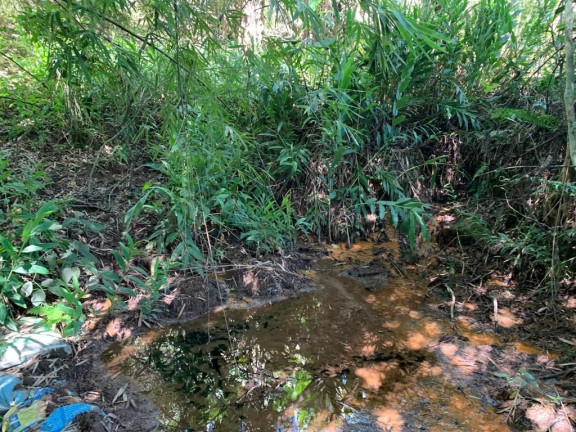 Imagem Chácara com 3 Quartos à Venda, 300 m² em Bom Sucesso - São José Dos Campos