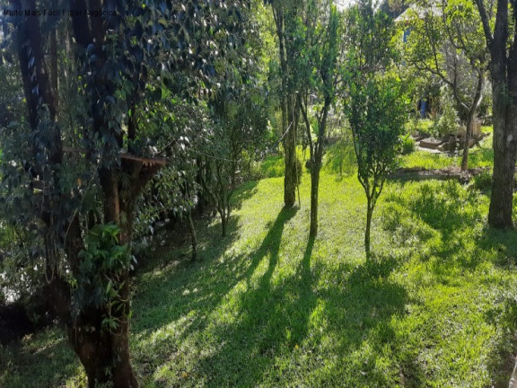 Imagem Casa com 3 Quartos à Venda, 100 m² em Recanto Do Sossego - Nova Petrópolis Imagem Casa com 3 Quartos à Venda, 100 m² em Recanto Do Sossego - Nova Petrópolis