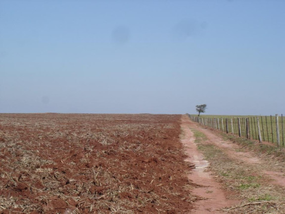 Imagem Fazenda à Venda, 3.085 m² em Rural - Assis