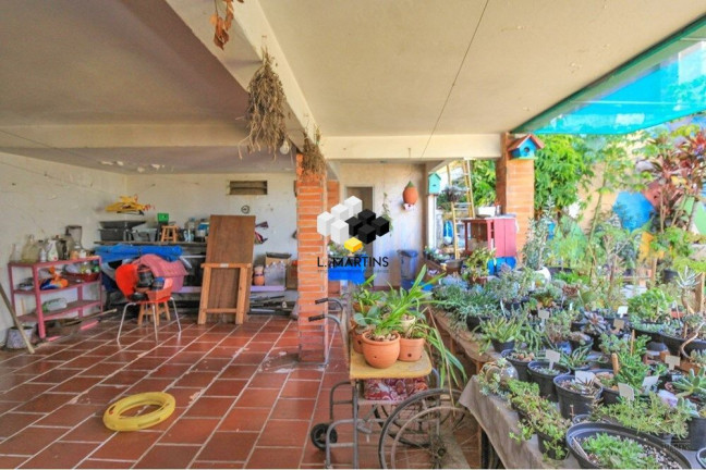Imagem Casa com 5 Quartos à Venda, 254 m² em Três Figueiras - Porto Alegre Imagem Casa com 5 Quartos à Venda, 254 m² em Três Figueiras - Porto Alegre