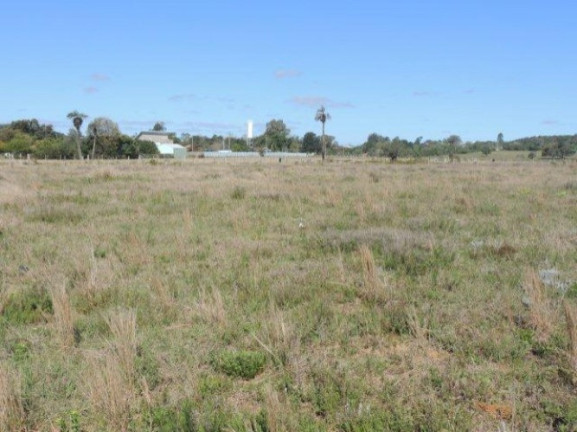 Imagem Terreno à Venda, 1.000 m² em Morro Grande - Viamão Imagem Terreno à Venda, 1.000 m² em Morro Grande - Viamão