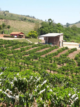 Imagem Fazenda à Venda, 26 m² em Naviraí Imagem Fazenda à Venda, 26 m² em Naviraí