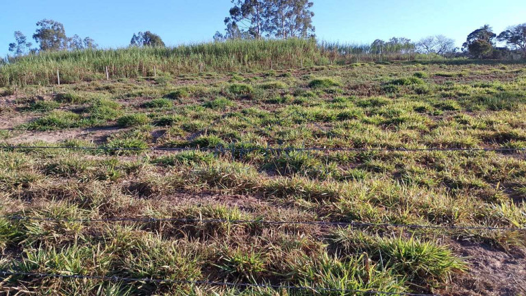 Imagem Fazenda à Venda, 6.690 m² em Vertentes Do Mamonal - Pirassununga Imagem Fazenda à Venda, 6.690 m² em Vertentes Do Mamonal - Pirassununga
