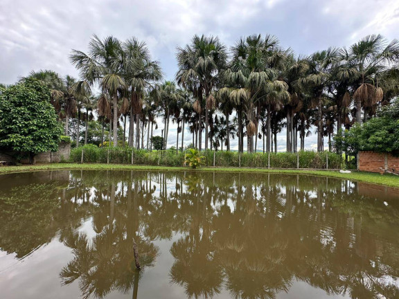Imagem Chácara à Venda, 5.000 m² em Santa Maria - Trindade Imagem Chácara à Venda, 5.000 m² em Santa Maria - Trindade