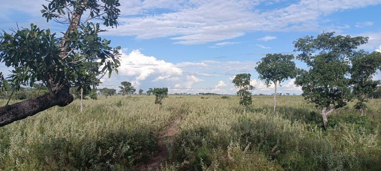 Imagem Fazenda à Venda, 1.200 m² em Rural - Corumbá