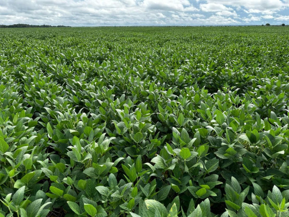 Imagem Fazenda à Venda, 9.700 m² em Rural - Pontes E Lacerda