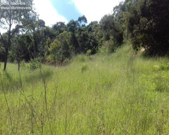 Imagem Terreno à Venda, 20.000 m² em Marmeleiro - São Roque Imagem Terreno à Venda, 20.000 m² em Marmeleiro - São Roque