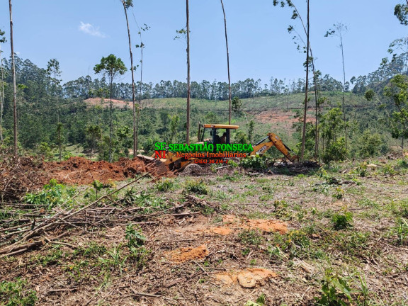 Imagem Chácara à Venda, 20.000 m² em Centro - Monteiro Lobato Imagem Chácara à Venda, 20.000 m² em Centro - Monteiro Lobato