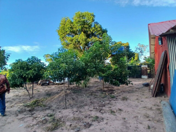 Imagem Chácara à Venda, 35 m² em Arapongas Imagem Chácara à Venda, 35 m² em Arapongas