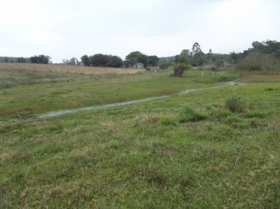 Imagem Chácara com 1 Quarto à Venda, 108.000 m² em Itapuã - Viamão Imagem Chácara com 1 Quarto à Venda, 108.000 m² em Itapuã - Viamão