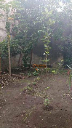Imagem Sobrado com 2 Quartos à Venda, 450 m² em Jardim Adriana - Guarulhos Imagem Sobrado com 2 Quartos à Venda, 450 m² em Jardim Adriana - Guarulhos