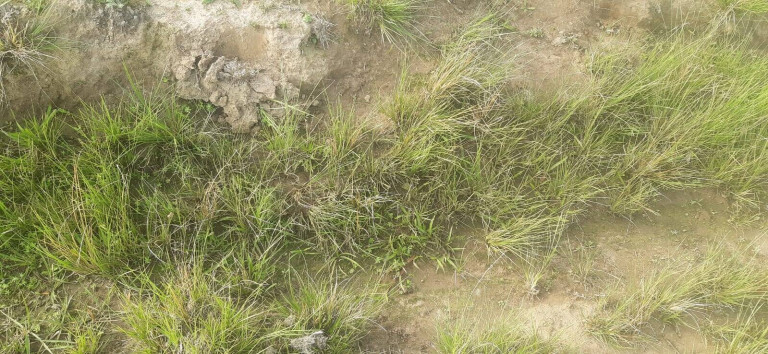 Imagem Terreno à Venda, 16 m² em Itaqui Imagem Terreno à Venda, 16 m² em Itaqui