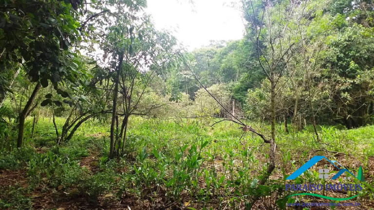 Imagem Chácara à Venda, 7 m² em Centro - Paraisópolis