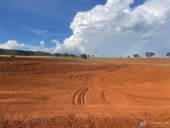 Imagem Imóvel à Venda, 1.255.000 m² em Centro - Campina Verde