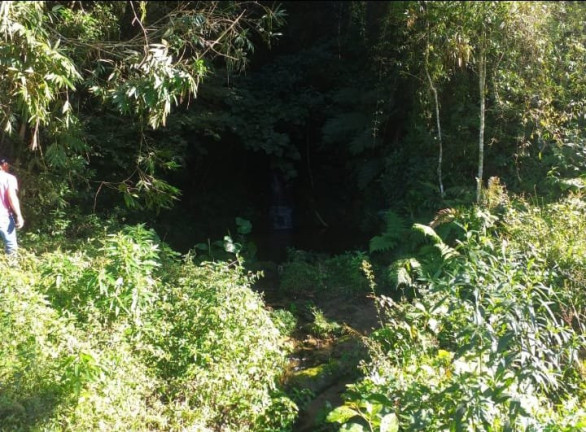 Imagem Fazenda à Venda, 726.000 m² em Tomba - Feira De Santana Imagem Fazenda à Venda, 726.000 m² em Tomba - Feira De Santana