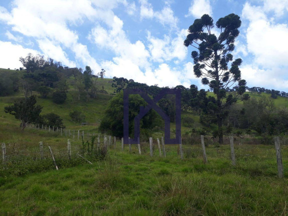 Imagem Fazenda à Venda, 360.000 m² em Cubatão - Marmelópolis