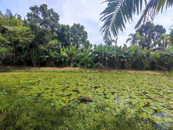 Imagem Chácara com 2 Quartos à Venda, 160 m² em Centro - Balneário Barra Do Sul Imagem Chácara com 2 Quartos à Venda, 160 m² em Centro - Balneário Barra Do Sul