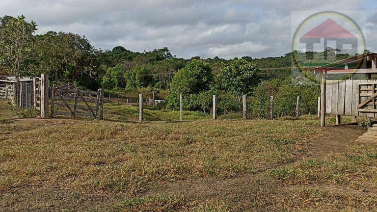 Imagem Fazenda à Venda, 2.032.800 m² em Br-230, Itupiranga - Pa, 68580-000, Brasil -5.024794, -49.459885 - Itupiranga Imagem Fazenda à Venda, 2.032.800 m² em Br-230, Itupiranga - Pa, 68580-000, Brasil -5.024794, -49.459885 - Itupiranga