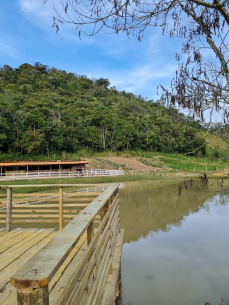 Imagem Imóvel à Venda, 44.000 m² em Areao - Natividade Da Serra Imagem Imóvel à Venda, 44.000 m² em Areao - Natividade Da Serra