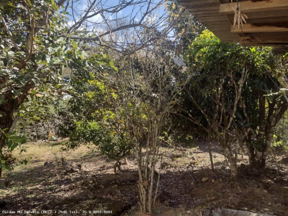 Imagem Casa com 2 Quartos à Venda, 54 m² em Pocinhos Do Rio Verde - Caldas Imagem Casa com 2 Quartos à Venda, 54 m² em Pocinhos Do Rio Verde - Caldas