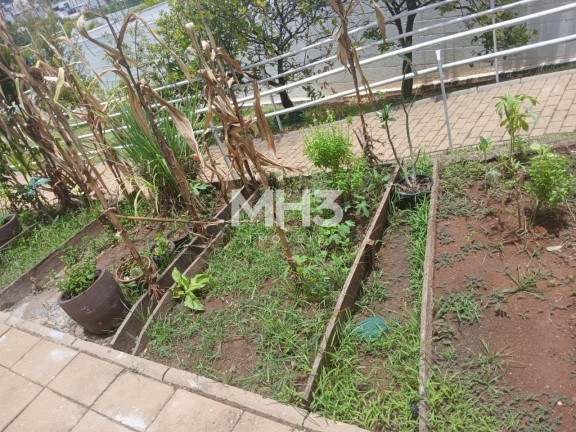Imagem Imóvel com 3 Quartos à Venda, 61 m² em Residencial Parque Da Fazenda - Campinas Imagem Imóvel com 3 Quartos à Venda, 61 m² em Residencial Parque Da Fazenda - Campinas