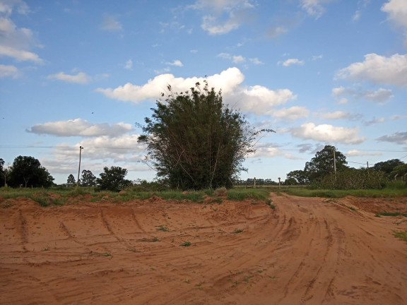 Imagem Chácara à Venda, 20.000 m² em águas Claras - Viamão