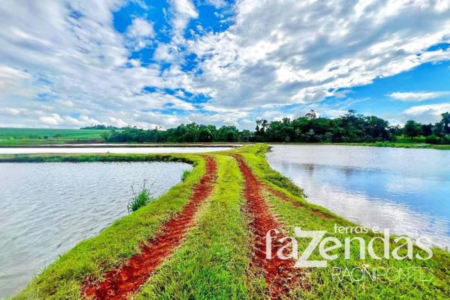 Imagem Fazenda à Venda, 187.200 m² em Vila Nova - Toledo Imagem Fazenda à Venda, 187.200 m² em Vila Nova - Toledo