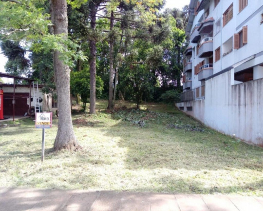 Imagem Imóvel à Venda, 363 m² em Logradouro - Nova Petrópolis Imagem Imóvel à Venda, 363 m² em Logradouro - Nova Petrópolis