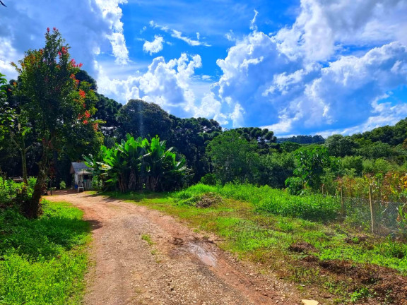 Imagem Chácara com 1 Quarto à Venda, 6.050 m² em Jardim Bela Vista - Balsa Nova