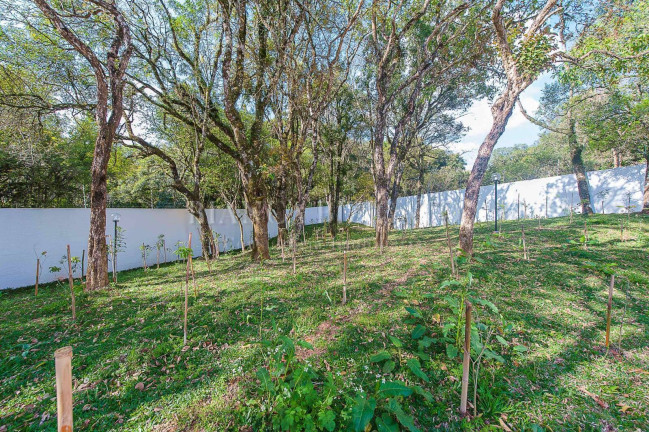 Imagem Casa com 3 Quartos à Venda, 87 m² em Abranches - Curitiba Imagem Casa com 3 Quartos à Venda, 87 m² em Abranches - Curitiba