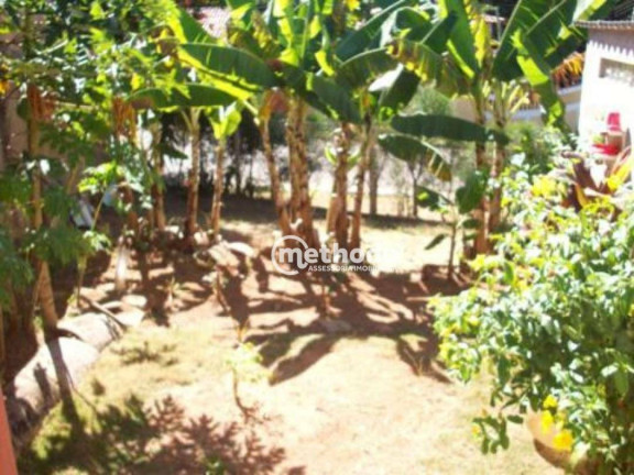 Imagem Casa com 2 Quartos à Venda, 100 m² em Jardim Conceição - Campinas Imagem Casa com 2 Quartos à Venda, 100 m² em Jardim Conceição - Campinas