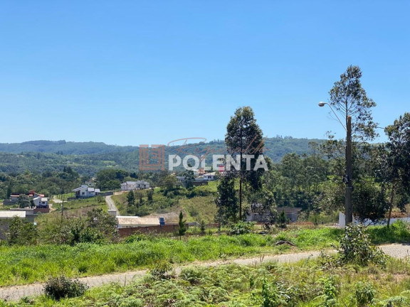 Imagem Terreno à Venda, 434 m² em Mina Do Mato - Criciúma