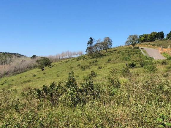 Imagem Terreno à Venda, 72.000 m²
