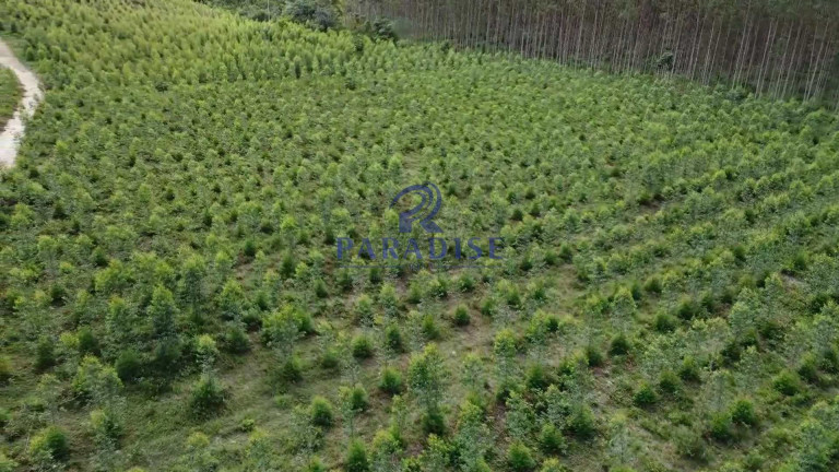 Imagem Fazenda à Venda, 1.960.000 m² em Zona Rural - Cardeal Da Silva Imagem Fazenda à Venda, 1.960.000 m² em Zona Rural - Cardeal Da Silva