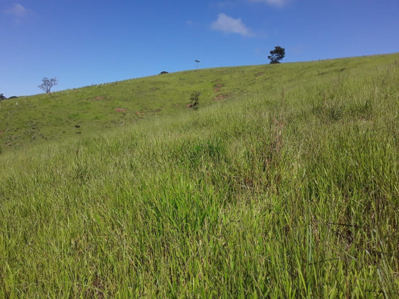 Imagem Chácara com 1 Quarto à Venda, 100 m² em Zona Rural - São Luíz Do Paraitinga Imagem Chácara com 1 Quarto à Venda, 100 m² em Zona Rural - São Luíz Do Paraitinga
