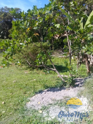 Imagem Imóvel com 3 Quartos à Venda, 60 m² em Gaivota - Itanhaém Imagem Imóvel com 3 Quartos à Venda, 60 m² em Gaivota - Itanhaém